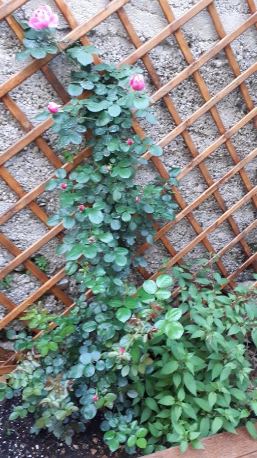 Apartman Hidden Gem Σίμπενικ Εξωτερικό φωτογραφία